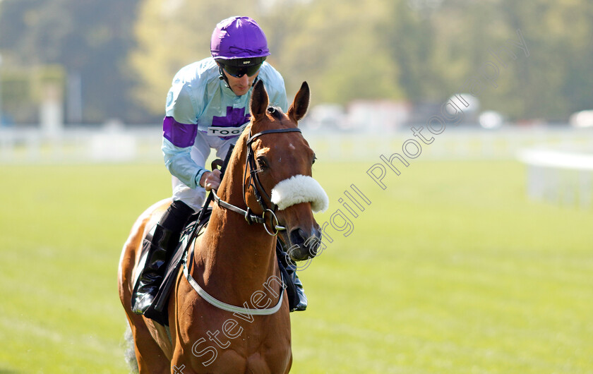 Rousing-Encore-0001 
 ROUSING ENCORE (Daniel Tudhope)
Ascot 3 May 2023 - Pic Steven Cargill / Racingfotos.com