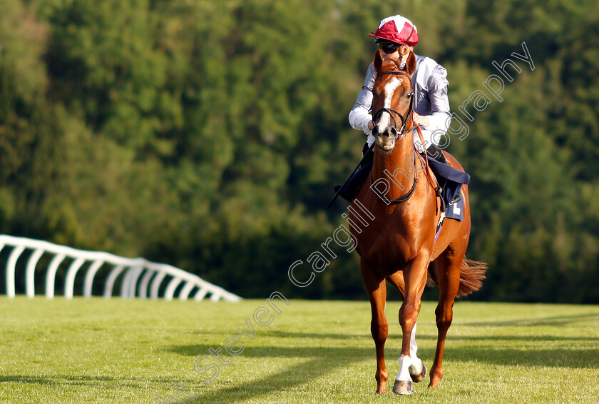 Numinous-0001 
 NUMINOUS (David Probert)
Chepstow 2 Jul 2019 - Pic Steven Cargill / Racingfotos.com