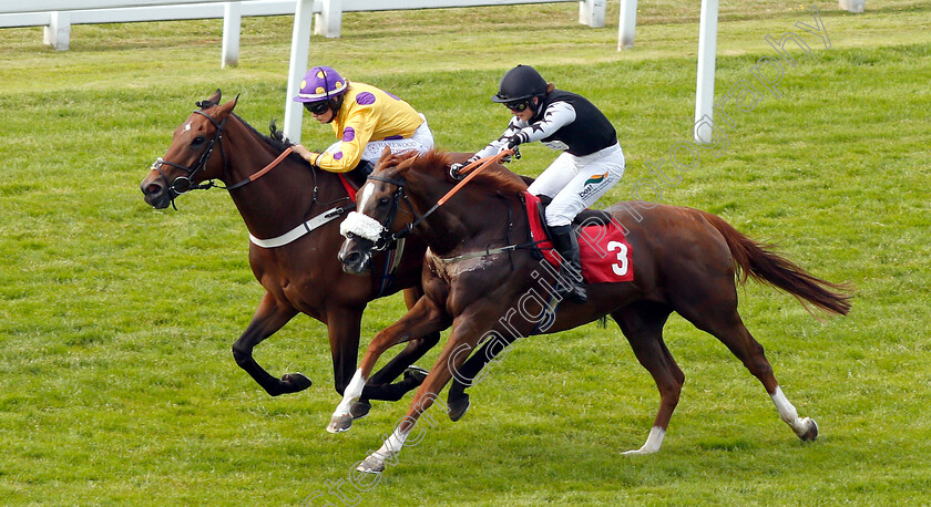 Biotic-0001 
 BIOTIC (Joanna Mason) beats CLUB TROPICANA (right) in The Coppafeel! 10 Year Anniversary Handicap
Sandown 5 Jul 2019 - Pic Steven Cargill / Racingfotos.com