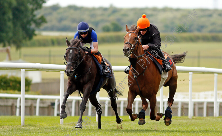 Addeybb-0004 
 ADDEYBB (right, Jason Favell) gallops with IRISH ADMIRAL (left, Adam Farragher) in preparation for next week's Eclipse Stakes
Newmarket 25 Jun 2021 - Pic Steven Cargill / Racingfotos.com