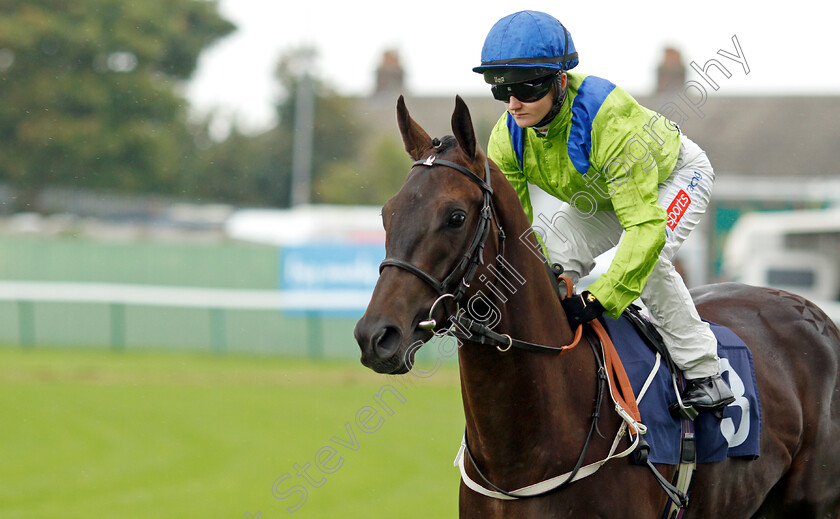 Subjective-Value-0001 
 SUBJECTIVE VALUE (Hollie Doyle)
Yarmouth 14 Sep 2021 - Pic Steven Cargill / Racingfotos.com