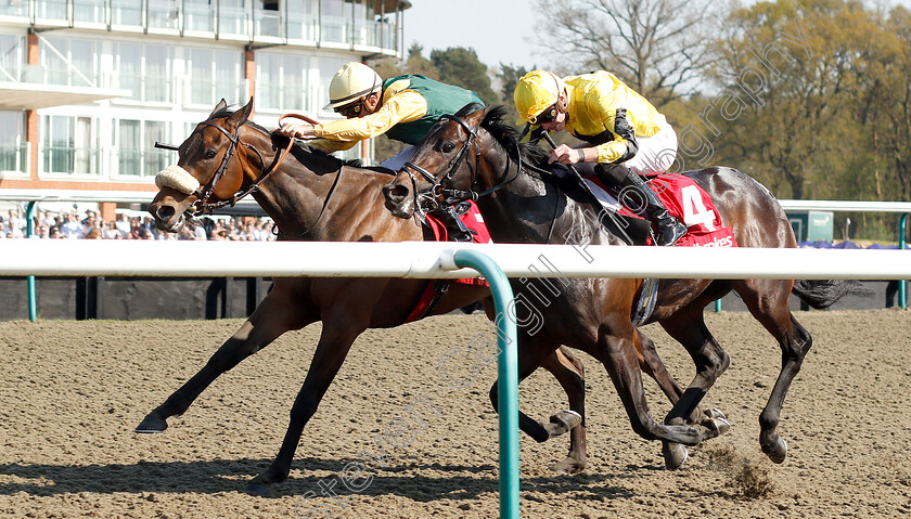 Pizzicato-0002 
 PIZZICATO (farside, Christophe Soumillon) beats DEPUTISE (nearside) in The Ladbrokes 3 Year Old All-Weather Championships Stakes
Lingfield 19 Apr 2019 - Pic Steven Cargill / Racingfotos.com