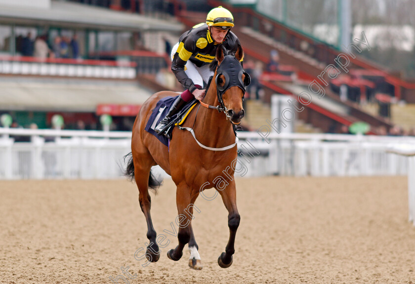 Doctor-Khan-Junior-0002 
 DOCTOR KHAN JUNIOR (Harry Russell)
Wolverhampton 9 Mar 2024 - Pic Steven Cargill / Racingfotos.com