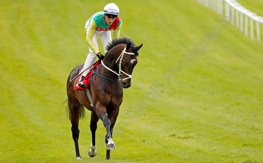 Quatre-Bras-0001 
 QUATRE BRAS (David Egan)
Sandown 15 Jun 2024 - Pic Steven Cargill / Racingfotos.com