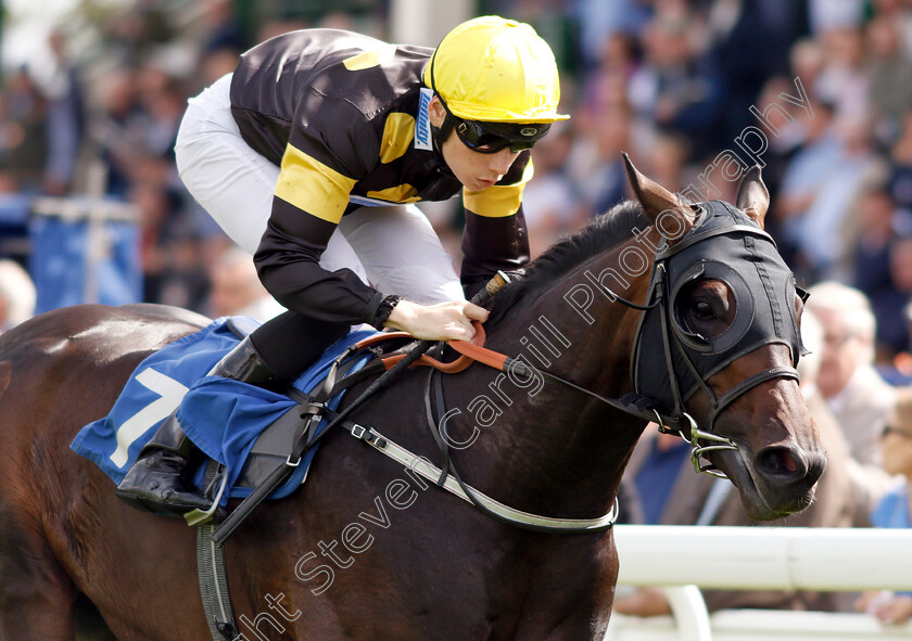 Rise-Hall-0007 
 RISE HALL (Callum Shepherd) wins The M J Church Novice Stakes
Salisbury 16 Aug 2018 - Pic Steven Cargill / Racingfotos.com