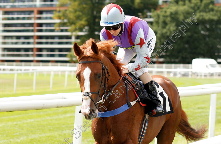 The-Great-Phoenix-0001 
 THE GREAT PHOENIX (Martin Dwyer)
Newbury 17 Aug 2018 - Pic Steven Cargill / Racingfotos.com