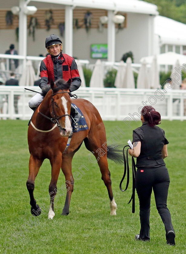 Rohaan-0006 
 ROHAAN (Ryan Moore) after The Wokingham Stakes
Royal Ascot 18 Jun 2022 - Pic Steven Cargill / Racingfotos.com