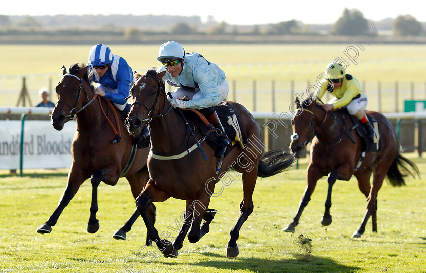 Sunday-Star-0003 
 SUNDAY STAR (Gerald Mosse) wins The Blandford Bloodstock Maiden Fillies Stakes Div1
Newmarket 29 Sep 2018 - Pic Steven Cargill / Racingfotos.com