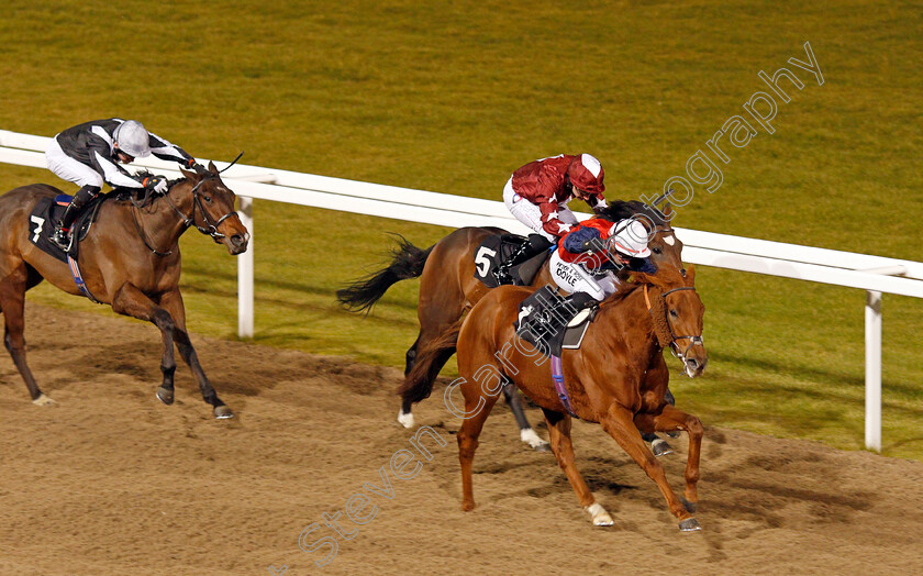 Zalshah-0002 
 ZALSHAH (Tom Marquand) beats DANCE EMPEROR (hidden) in The Bet toteJackpot At betfred.com Nursery Chelmsford 1 Dec 2017 - Pic Steven Cargill / Racingfotos.com