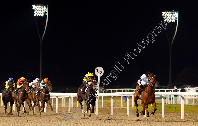 Fantail-0003 
 FANTAIL (Joe Fanning) beats ISLAND HIDEAWAY (centre) in The Bet totetrifecta At totesport.com EBF Fillies Novice Stakes
Chelmsford 19 Nov 2019 - Pic Steven Cargill / Racingfotos.com