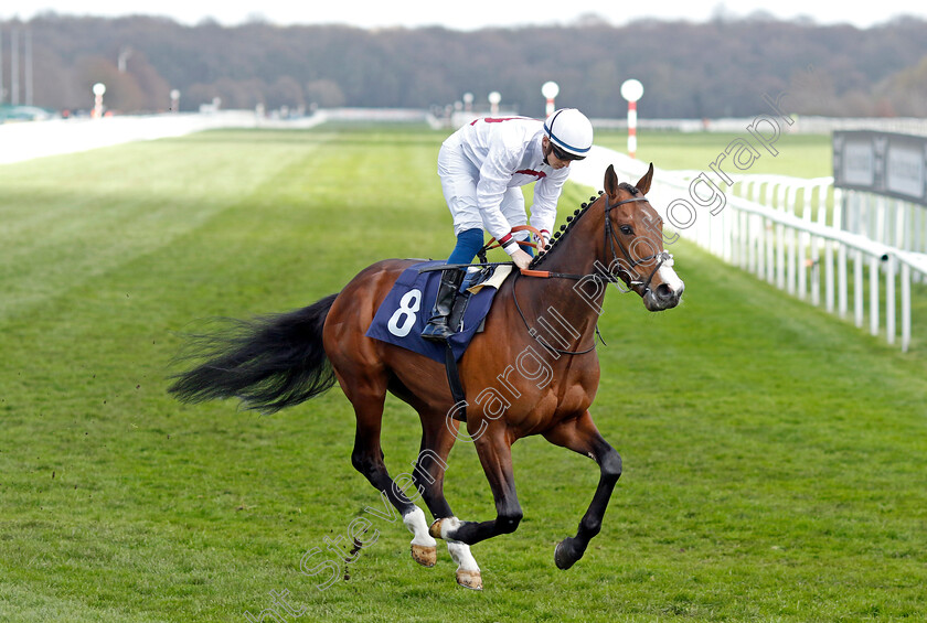 Kadovar-0001 
 KADOVAR (David Probert)
Doncaster 2 Apr 2023 - Pic Steven Cargill / Racingfotos.com