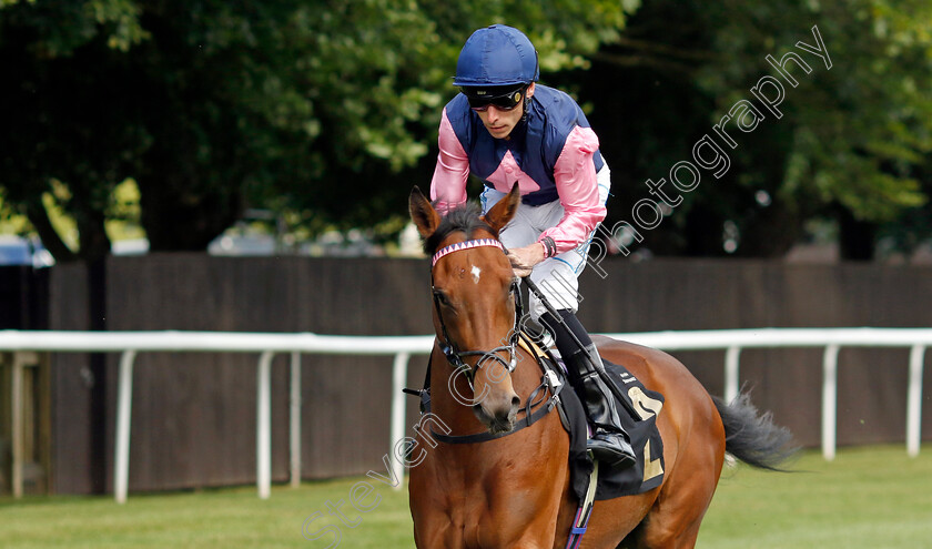 Beronia-0001 
 BERONIA (Kieran Shoemark)
Newmarket 28 Jun 2024 - Pic Steven Cargill / Racingfotos.com