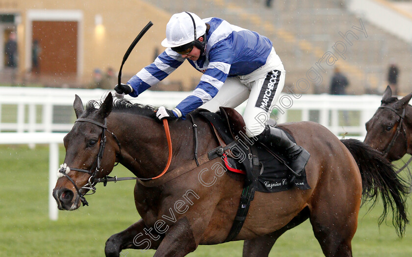 Frodon-0008 
 FRODON (Bryony Frost) wins The Caspian Caviar Gold Cup Handicap Chase
Cheltenham 15 Dec 2018 - Pic Steven Cargill / Racingfotos.com