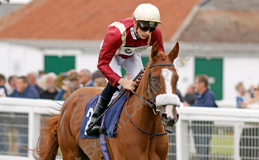 Apeeling-0001 
 APEELING (Harry Davies)
Yarmouth 20 Sep 2023 - Pic Steven Cargill / Racingfotos.com