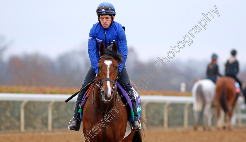 Nations-Pride-0001 
 NATIONS PRIDE training for the Breeders' Cup Turf
Keeneland USA 1 Nov 2022 - Pic Steven Cargill / Racingfotos.com