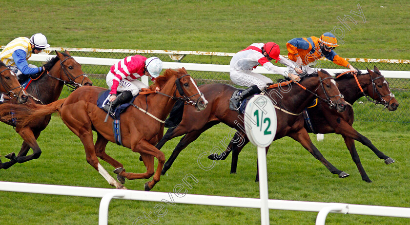 Alborkan-0001 
 ALBORKAN (centre, George Wood) beats CASA LOUPI (left) and ARTHUR'S COURT (farside) in The Follow At The Races On Twitter Handicap Div2
Yarmouth 20 Oct 2020 - Pic Steven Cargill / Racingfotos.com