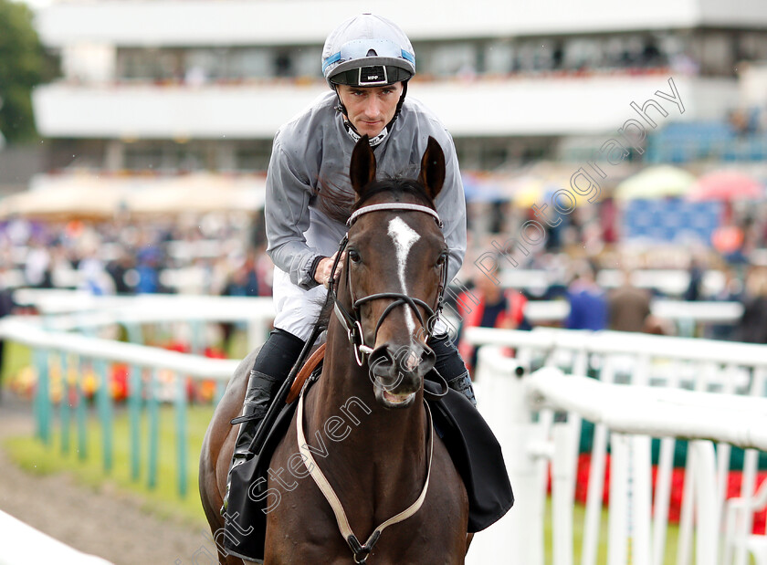 Soldier s-Call-0001 
 SOLDIER'S CALL (Daniel Tudhope) before winning The Wainwrights Flying Childers Stakes
Doncaster 14 Sep 2018 - Pic Steven Cargill / Racingfotos.com