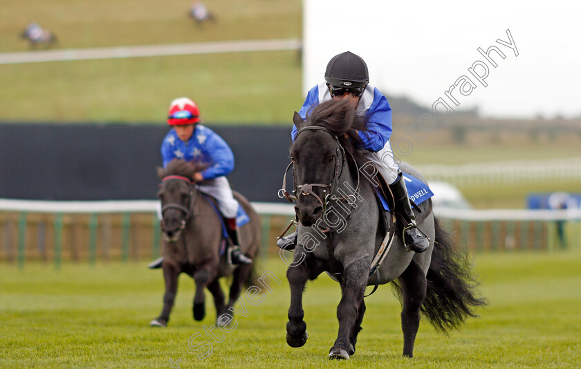 Briar-Smokey-Joe-0005 
 BRIAR SMOKEY JOE (Zak Kent) wins The Shetland Pony Grand National Flat Race Newmarket 29 Sep 2017 - Pic Steven Cargill / Racingfotos.com