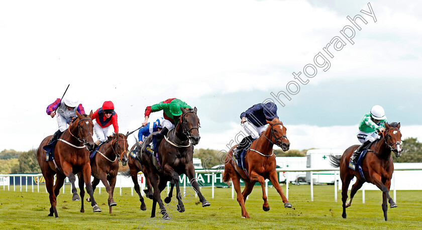 Laurens-0004 
 LAURENS (left, P J McDonald) beats DARK ROSE ANGEL (right) NYALETI (2nd left) and SIZZLING (2nd right) in The William Hill May Hill Stakes Doncaster 14 Sep 2017 - Pic Steven Cargill / Racingfotos.com