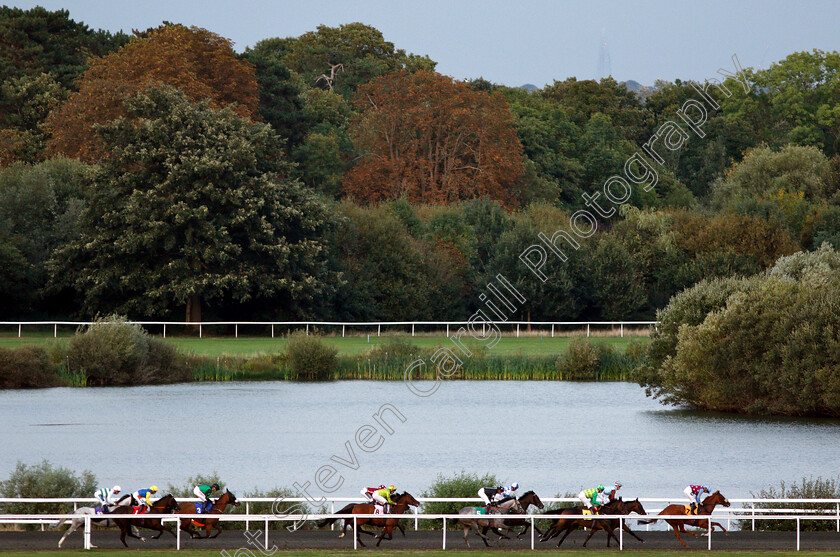 Kempton-0002 
 JEDHI (No.4 Robert Havlin) races in third place along the back straight on her way to winning The 100% Profit Boost At 32Redsport.com Fillies Handicap
Kempton 29 Aug 2018 - Pic Steven Cargill / Racingfotos.com