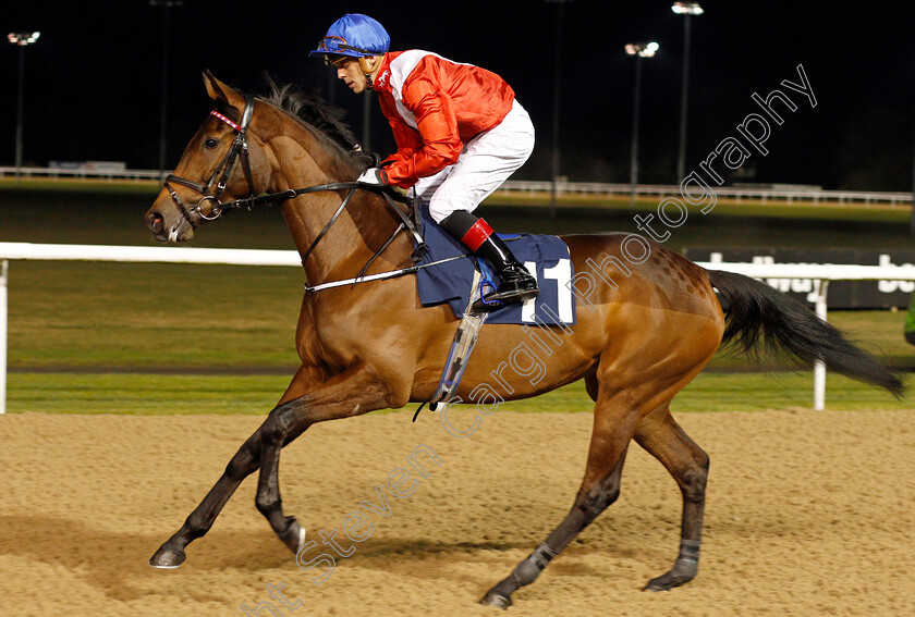 Vega s-Angel-0001 
 VEGA'S ANGEL (Ben Curtis)
Wolverhampton 20 Jan 2020 - Pic Steven Cargill / Racingfotos.com