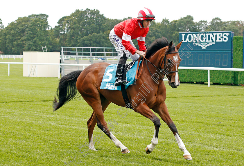 Queen-Daenerys-0001 
 QUEEN DAENERYS (Ryan Moore)
Ascot 26 Jul 2019 - Pic Steven Cargill / Racingfotos.com