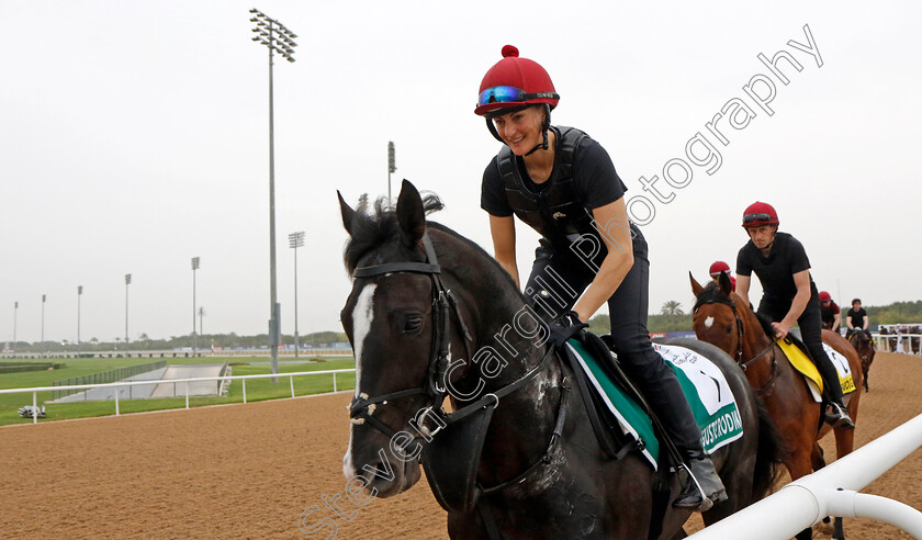 Auguste-Rodin-0002 
 AUGUSTE RODIN training for The Sheema Classic
Meydan Dubai 26 Mar 2024 - Pic Steven Cargill / Racingfotos.com