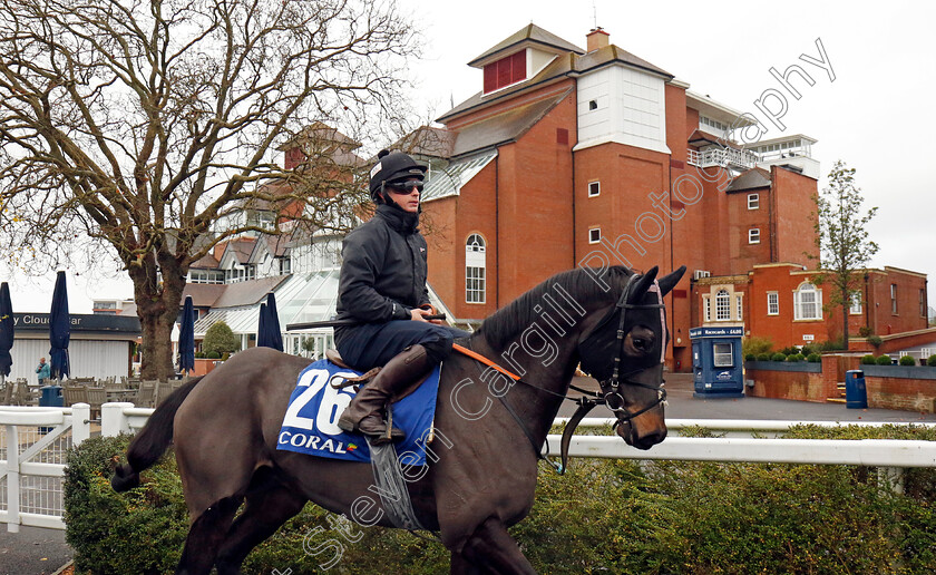 Pleasington-0003 
 PLEASINGTON 
Coral Gold Cup gallops morning Newbury 19 Nov 20234 - Pic Steven Cargill / Racingfotos.com