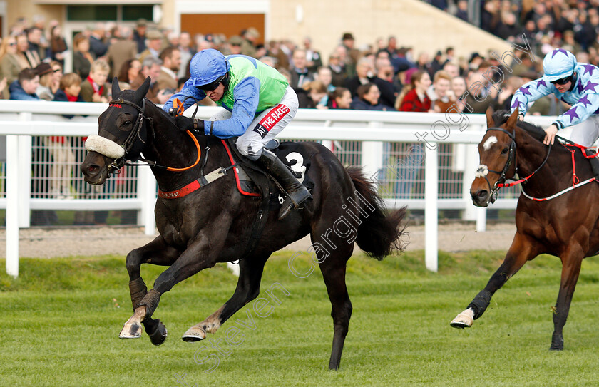 Canardier-0006 
 CANARDIER (Barry Geraghty) wins The Ballymore Novices Hurdle
Cheltenham 26 Oct 2018 - Pic Steven Cargill / Racingfotos.com