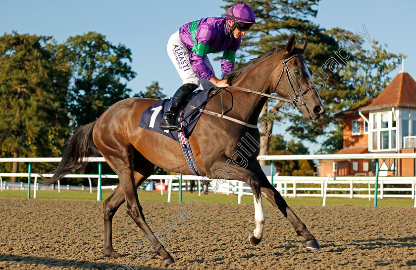 Kaleidoscopic-0001 
 KALEIDOSCOPIC (Tom Marquand)
Lingfield 4 Aug 2020 - Pic Steven Cargill / Racingfotos.com