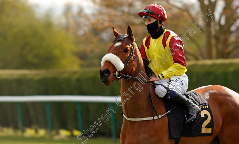 Ben-Macdui 
 BEN MACDUI (Kevin Stott)
Nottingham 7 Apr 2021 - Pic Steven Cargill / Racingfotos.com