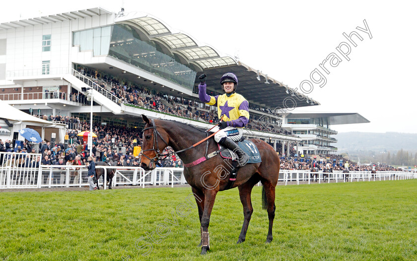 Happy-Diva-0015 
 HAPPY DIVA (Richard Patrick) after The BetVictor Gold Cup
Cheltenham 16 Nov 2019 - Pic Steven Cargill / Racingfotos.com