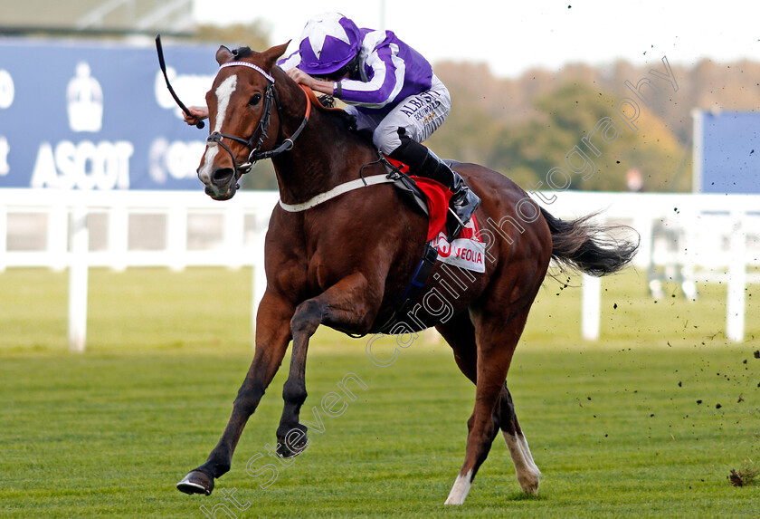 Shady-McCoy-0004 
 SHADY MCCOY (Ryan Moore) wins The Veolia Handicap Ascot 6 Oct 2017 - Pic Steven Cargill / Racingfotos.com