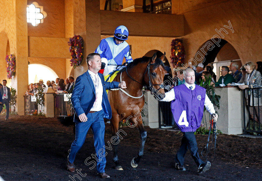 Magnum-Force-0011 
 MAGNUM FORCE (Colin Keane) winner of the Breeders' Cup Juvenile Turf Sprint
Del Mar USA 1 Nov 2024 - Pic Steven Cargill / Racingfotos.com