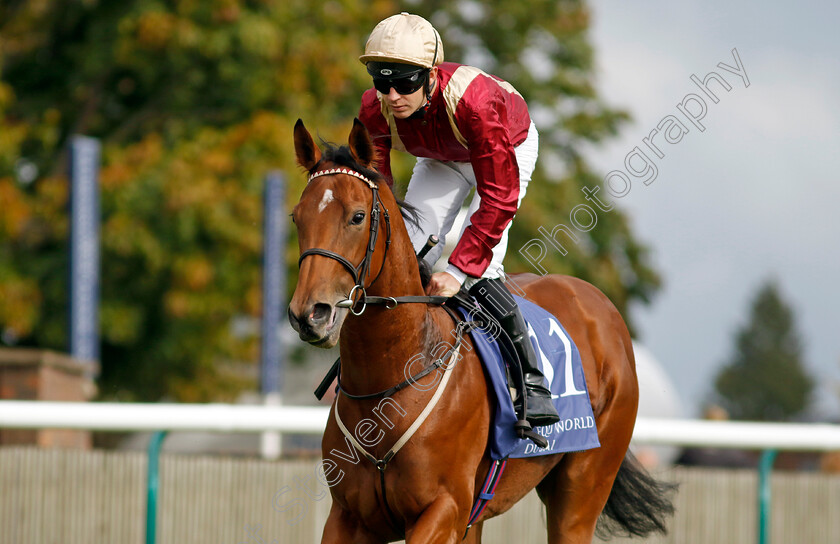 Rage-Of-Bamby-0001 
 RAGE OF BAMBY (Charles Bishop)
Newmarket 23 Sep 2022 - Pic Steven Cargill / Racingfotos.com