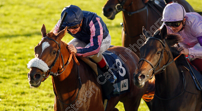 Juan-Bermudez-0006 
 JUAN BERMUDEZ (left, Andrea Atzeni) beats THE GADGET MAN (right) in The Let's Talk About Race Webinar EBF Future Stayers Novice Stakes
Newmarket 20 Oct 2021 - Pic Steven Cargill / Racingfotos.com