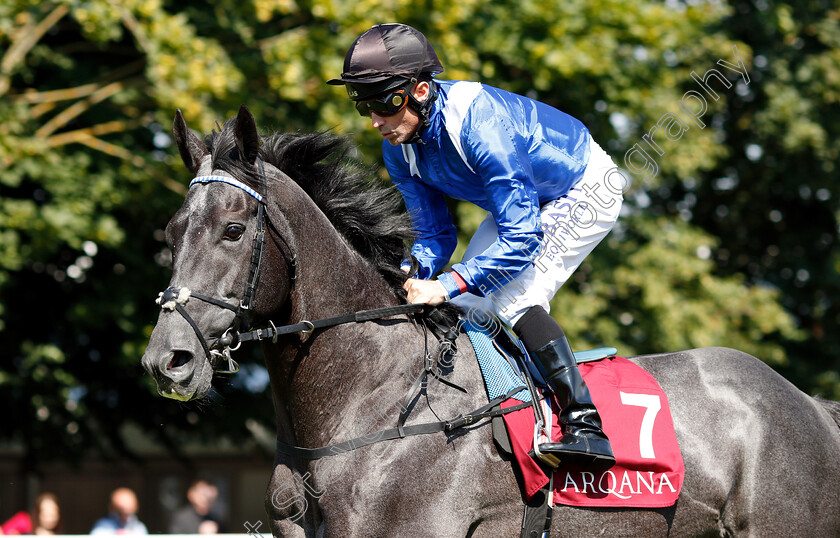 Muntahaa-0002 
 MUNTAHAA (Dane O'Neill)
Newmarket 12 Jul 2018 - Pic Steven Cargill / Racingfotos.com