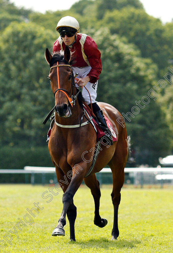 Heartache-0003 
 HEARTACHE (Martin Harley)
Haydock 26 May 2018 - Pic Steven Cargill / Racingfotos.com