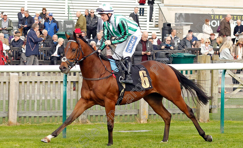 Kitty s-Dream-0001 
 KITTY'S DREAM (Kieran O'Neill)
Newmarket 23 Oct 2024 - Pic Steven Cargill / Racingfotos.com