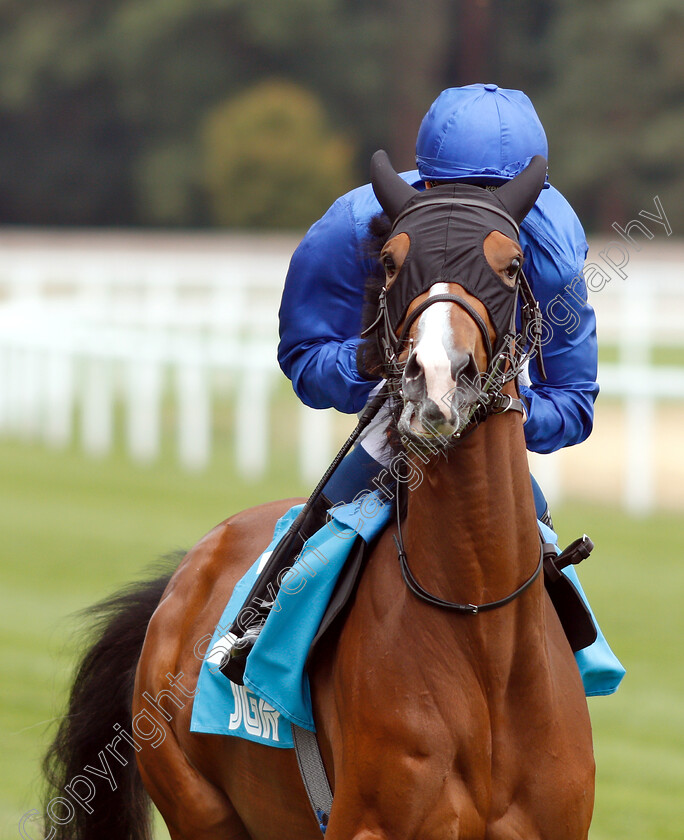 Ceratonia-0001 
 CERATONIA (William Buick) before winning The JGR British EBF Fillies Novice Stakes
Ascot 27 Jul 2018 - Pic Steven Cargill / Racingfotos.com