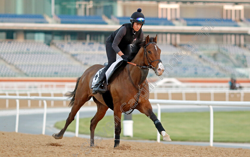 Magical-Morning-0004 
 MAGICAL MORNING training at Meydan, Dubai
2 Feb 2023 - Pic Steven Cargill / Racingfotos.com