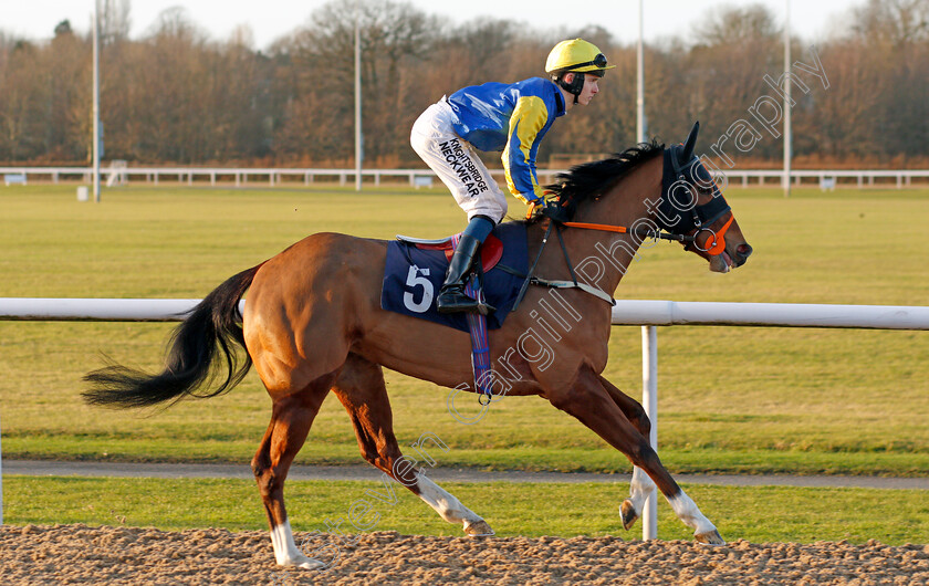 Second-Collection-0001 
 SECOND COLLECTION (Phil Dennis)
Wolverhampton 3 Jan 2020 - Pic Steven Cargill / Racingfotos.com