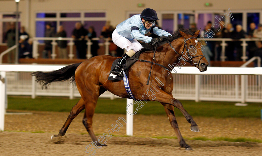 Fantail-0009 
 FANTAIL (Joe Fanning) wins The Bet totetrifecta At totesport.com EBF Fillies Novice Stakes
Chelmsford 19 Nov 2019 - Pic Steven Cargill / Racingfotos.com