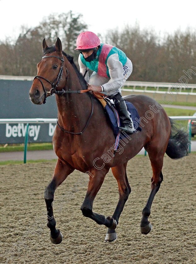 Sangarius-0001 
 SANGARIUS (Ryan Moore) winner of The Betway Quebec Stakes
Lingfield 19 Dec 2020 - Pic Steven Cargill / Racingfotos.com