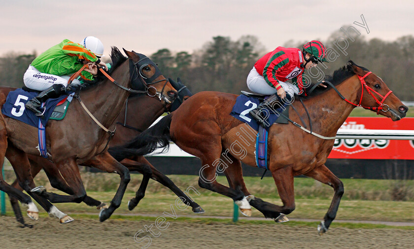 Easy-Tiger-0003 
 EASY TIGER (Georgia Cox) beats DUTCH UNCLE (left) in The Betway Apprentice Handicap Lingfield 2 Feb 2018 - Pic Steven Cargill / Racingfotos.com