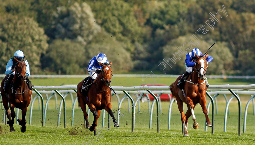 Qitaal-0002 
 QITAAL (Jason Hart) beats WINDSEEKER (centre) in the British Stallion Studs EBF Maiden Stakes Div1
Nottingham 13 Oct 2021 - Pic Steven Cargill / Racingfotos.com