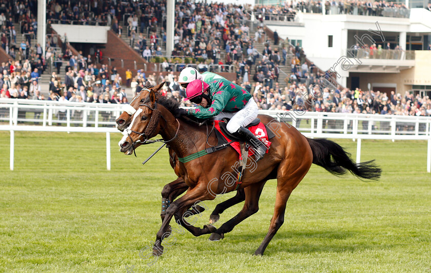 Mister-Whitaker-0003 
 MISTER WHITAKER (Jonathan Burke) wins The Cure Parkinson's And Hambo Foundation Silver Trophy Chase
Cheltenham 17 Apr 2019 - Pic Steven Cargill / Racingfotos.com