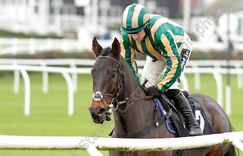 Three-Platoon-0001 
 THREE PLATOON (Brian Hughes)
Market Rasen 17 Nov 2022 - Pic Steven Cargill / Racingfotos.com