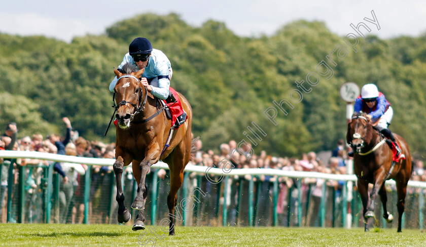 Believing-0005 
 BELIEVING (Daniel Tudhope) wins The Betfred Passionate About Sport Achilles Stakes
Haydock 8 Jun 2024 - Pic Steven Cargill / Racingfotos.com