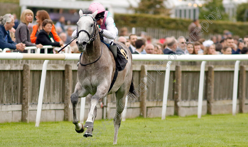 Field-Of-Gold-0004 
 FIELD OF GOLD (Kieran Shoemark) wins The Weatherbys British EBF Maiden Stakes
Newmarket 12 Jul 2024 - pic Steven Cargill / Racingfotos.com